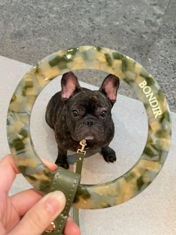 Emerald Leather Dog Leash