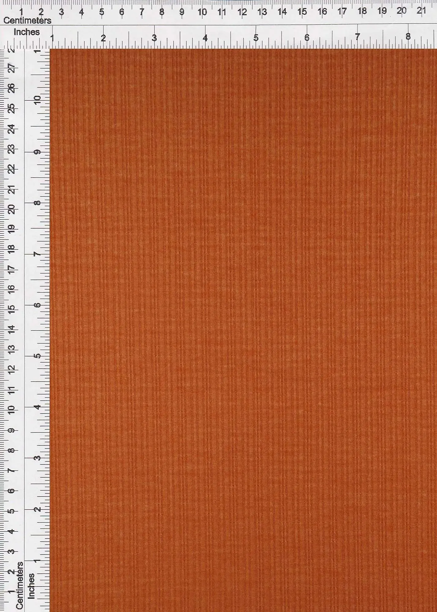 KNT3359-2TONE