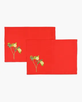 Set of 2 Hand-Embroidered Placemats
